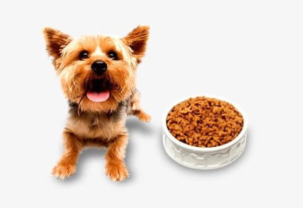 International transport of pet food